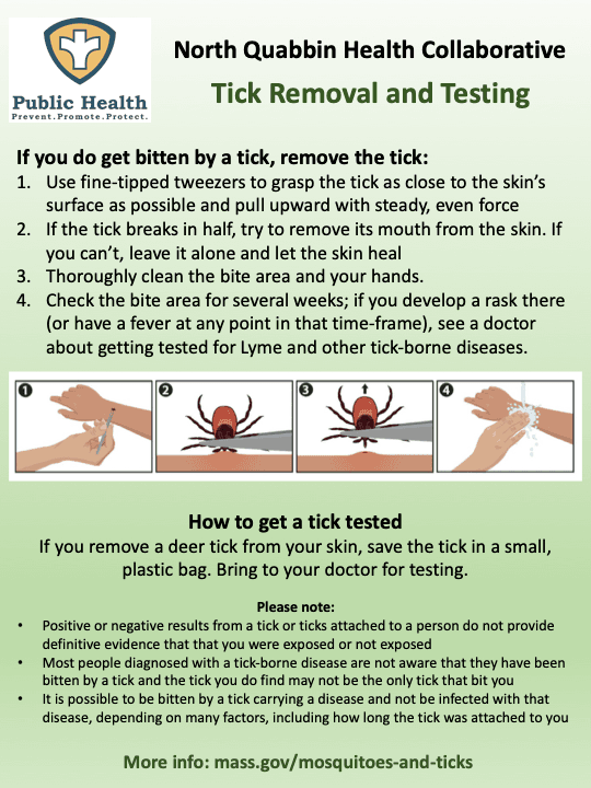 Tick_removal