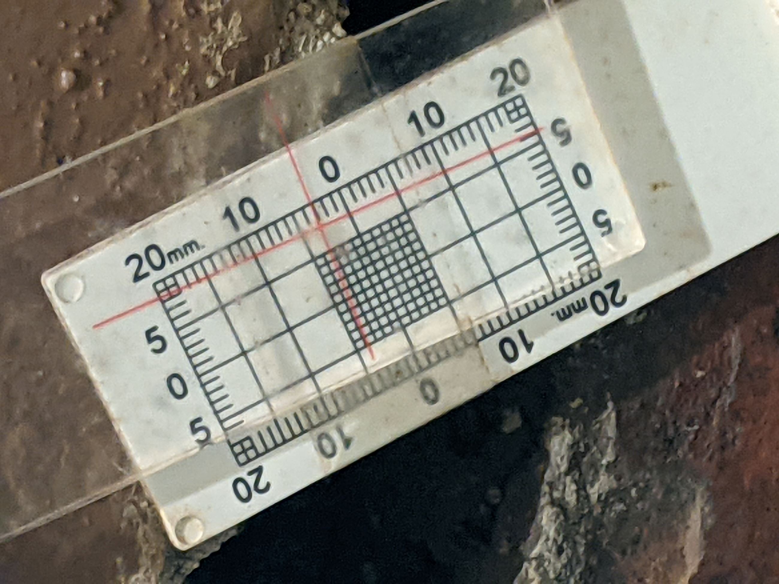 PXL_20211006_144325415